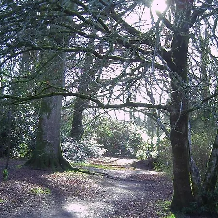 Tinnakilly Lodge, Spaciously Luxurious Near Wicklow *